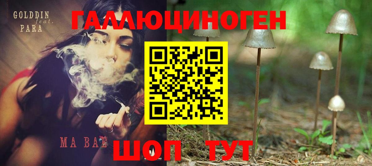 наркотики  Вход с VPN  Кулебаки  Галлюциногенные грибы Psilocybine cubensis 