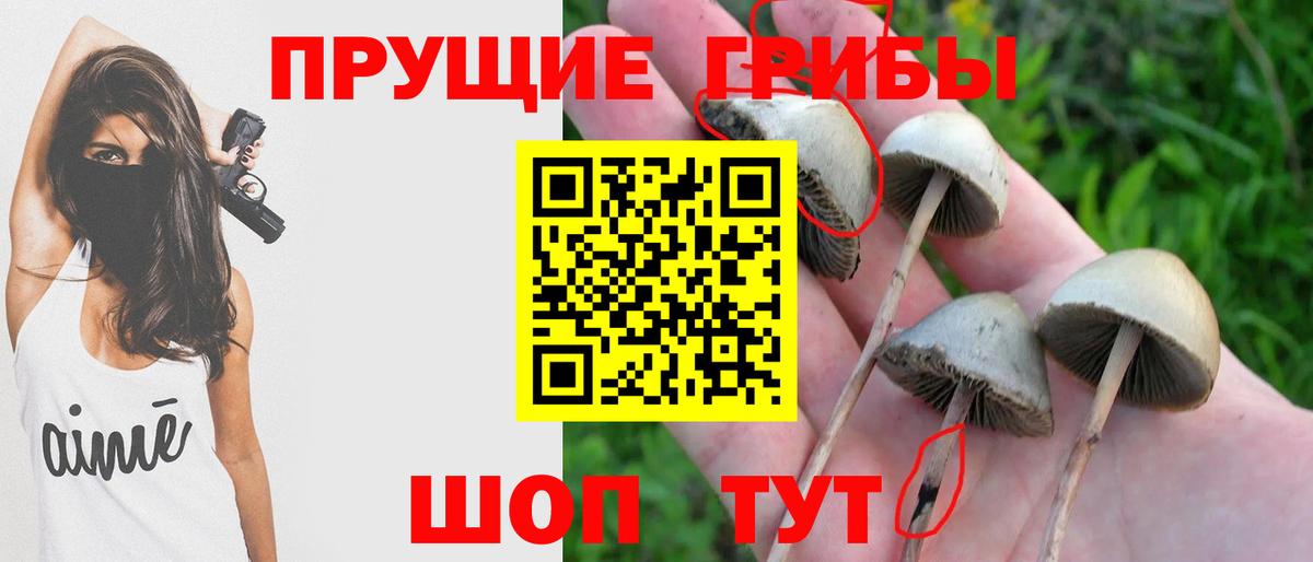 Галлюциногенные грибы мицелий Кулебаки